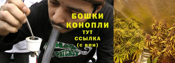 PSILOCYBIN Бородино